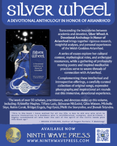 promotional graphic depicting book cover and text